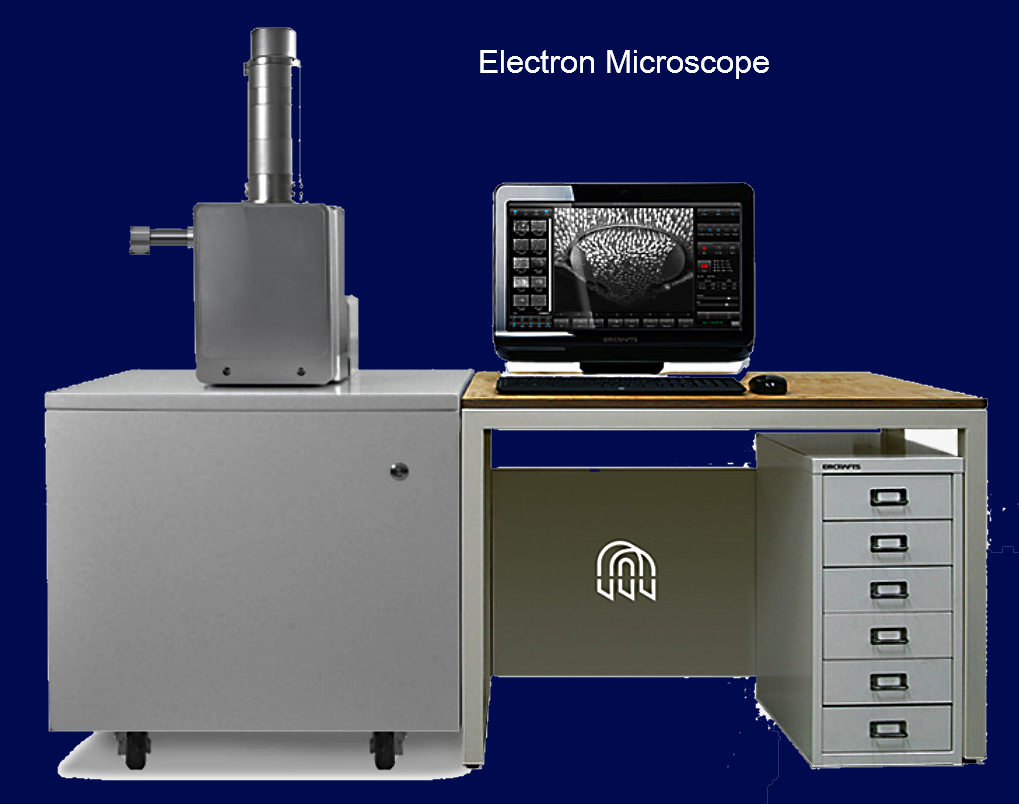 Electron Microscope