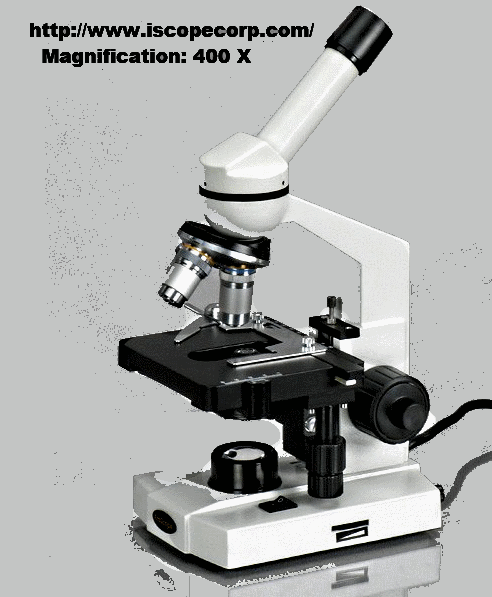 Optical Microscope